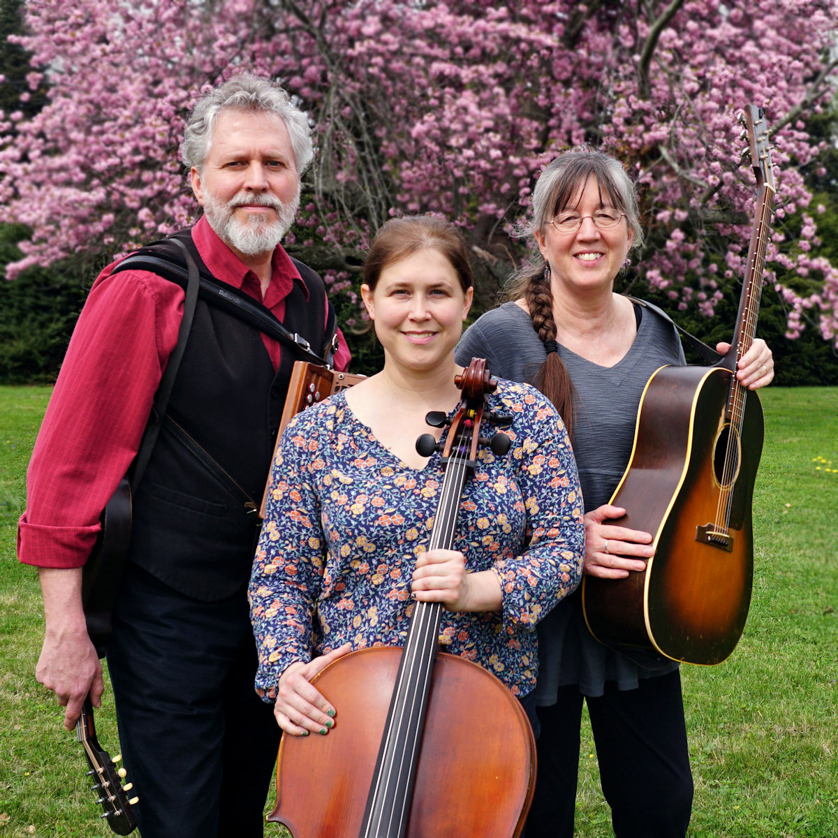 Photo of Box and String Trio
